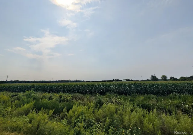 Photo 1 of Land for sale at 0 Brown Rd, Greenwood Township St Clair, MI 48006 | MLS# 20261062844 | Listing updated on 2026-08-14