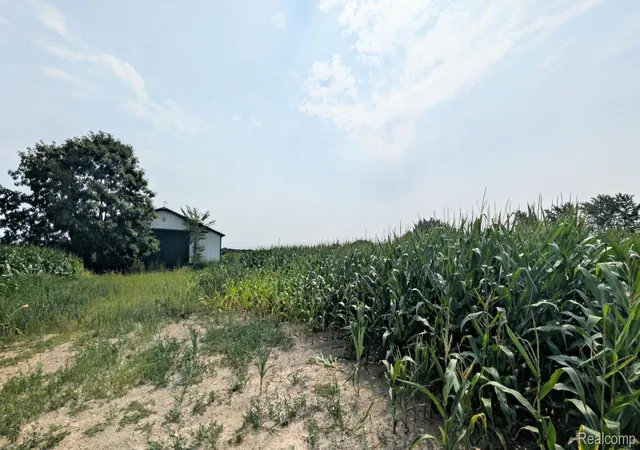 Photo 4 of Land for sale at 0 Brown Rd, Greenwood Township St Clair, MI 48006 | MLS# 20261062844 | Listing updated on 2026-08-14