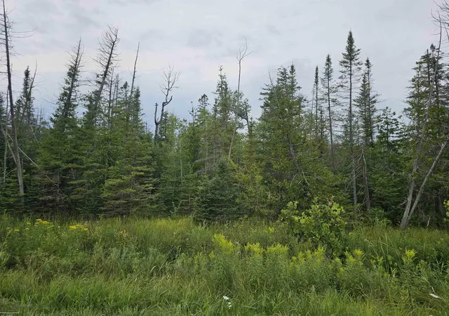 Photo 1 of Land for sale at 1271 Bloom Rd, Alpena, MI 49707 | MLS# 58050217940 | Listing updated on 2026-09-23