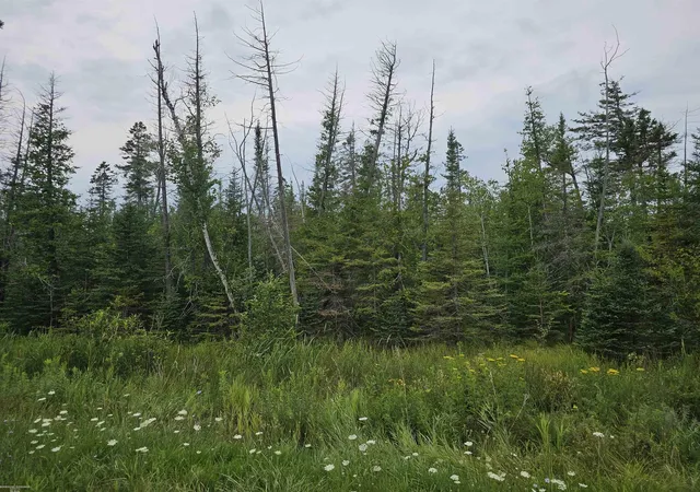 Photo 2 of Land for sale at 1271 Bloom Rd, Alpena, MI 49707 | MLS# 58050217940 | Listing updated on 2026-09-23