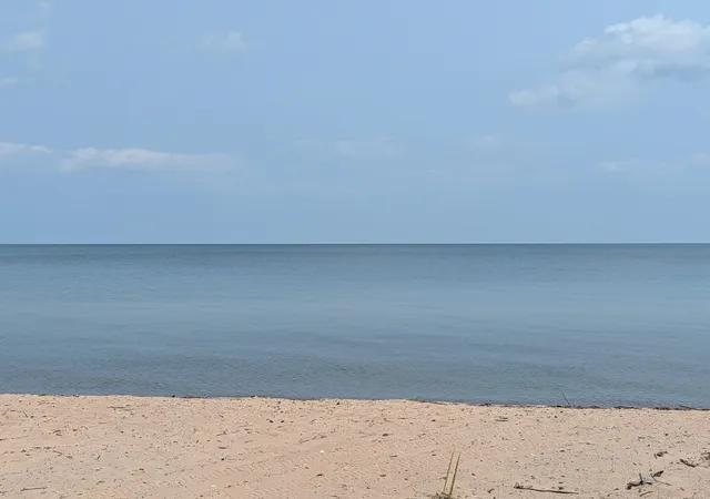 Photo 3 of Land for sale at N Huron Rd, Tawas City, MI 48763 | MLS# 77080072194 | Listing updated on 2026-08-20