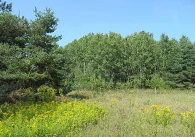 Photo 1 of Land for sale at 0 M 55, Cadillac, MI 49601 | MLS# 78080072204 | Listing updated on 2026-09-07