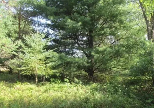 Photo 2 of Land for sale at 0 M 55, Cadillac, MI 49601 | MLS# 78080072204 | Listing updated on 2026-09-07