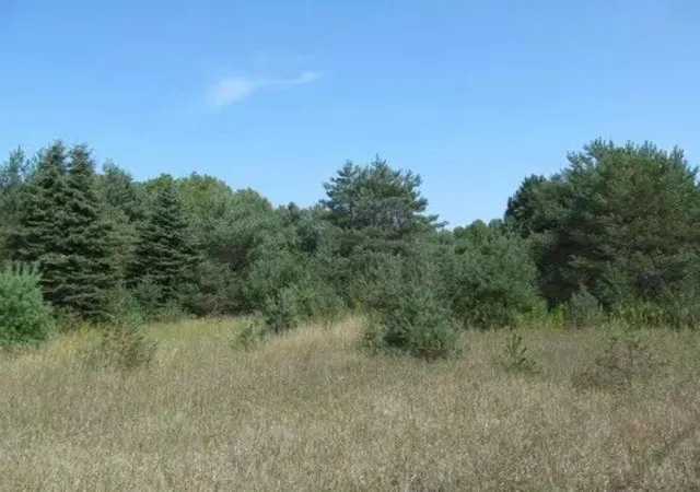 Photo 3 of Land for sale at 0 M 55, Cadillac, MI 49601 | MLS# 78080072204 | Listing updated on 2026-09-07