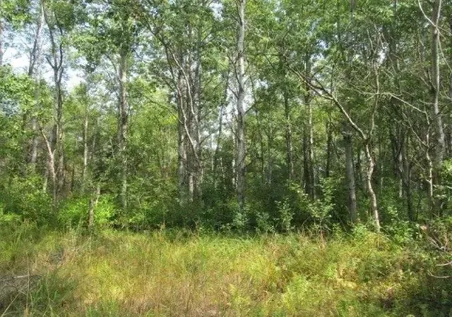 Photo 3 of Land for sale at 0 M 55, Cadillac, MI 49601 | MLS# 78080072204 | Listing updated on 2026-09-07