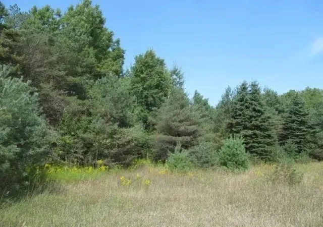 Photo 4 of Land for sale at 0 M 55, Cadillac, MI 49601 | MLS# 78080072204 | Listing updated on 2026-09-07