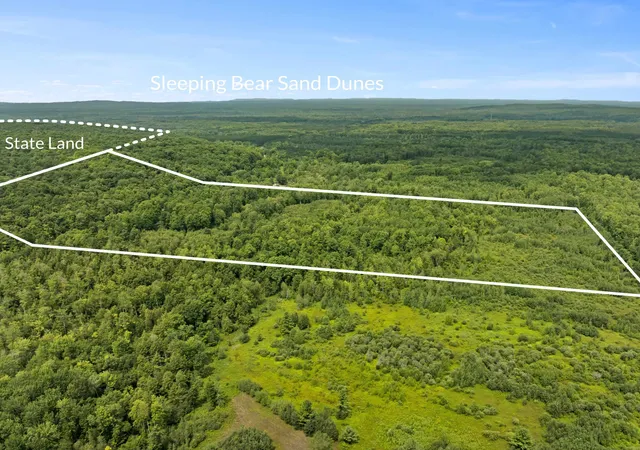 18th image of 000 S Thompsonville Hwy, Thompsonville, MI 49683 | MLS# 78080072218