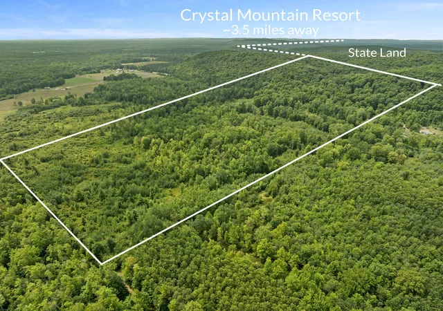 2nd image of 000 S Thompsonville Hwy, Thompsonville, MI 49683 | MLS# 78080072218