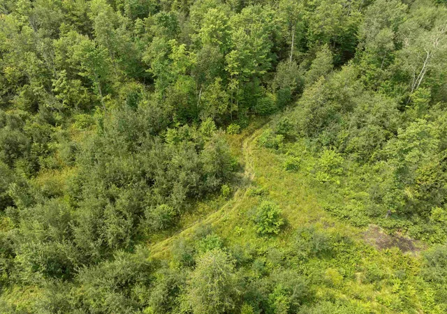 3rd image of 000 S Thompsonville Hwy, Thompsonville, MI 49683 | MLS# 78080072218