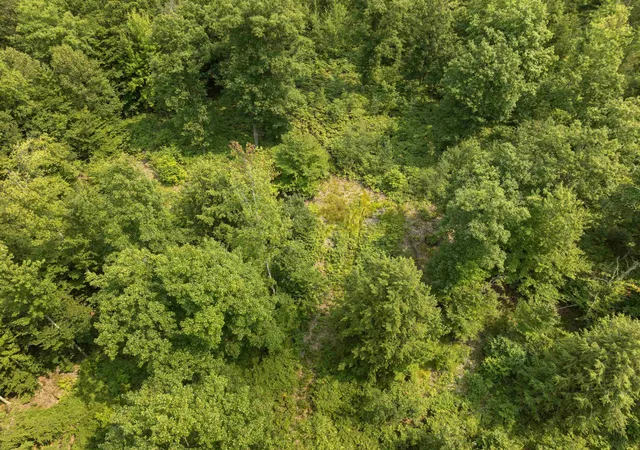 4th image of 000 S Thompsonville Hwy, Thompsonville, MI 49683 | MLS# 78080072218