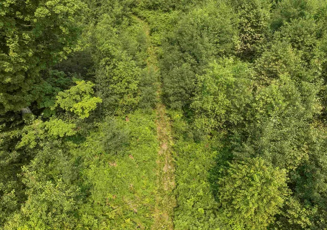 5th image of 000 S Thompsonville Hwy, Thompsonville, MI 49683 | MLS# 78080072218