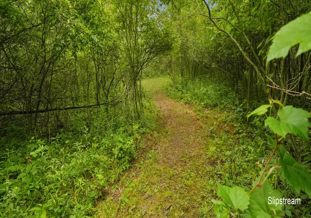 33rd image of 1401 S Miner Rd, Crystal, MI 48818 | MLS# 65026042079