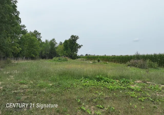 Photo 3 of Land for sale at 8345 N Jennings Rd, Mount Morris, MI 48458 | MLS# 5050218269 | Listing updated on 2026-08-17