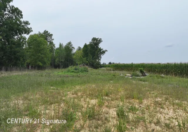 Photo 4 of Land for sale at 8345 N Jennings Rd, Mount Morris, MI 48458 | MLS# 5050218269 | Listing updated on 2026-08-17