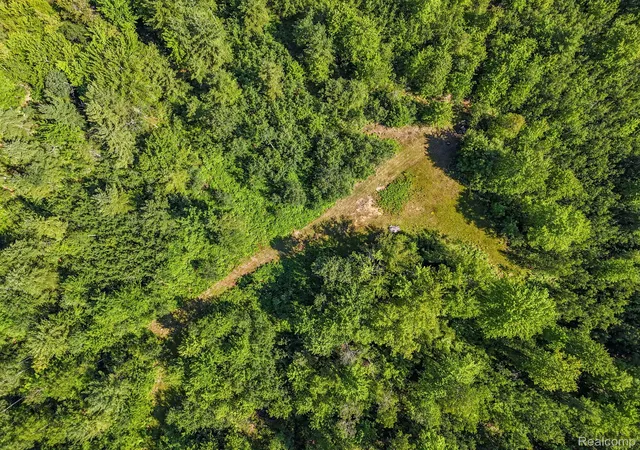 5th image of 2738 S Thompsonville Rd, Thompsonville, MI 49683 | MLS# 20261064034