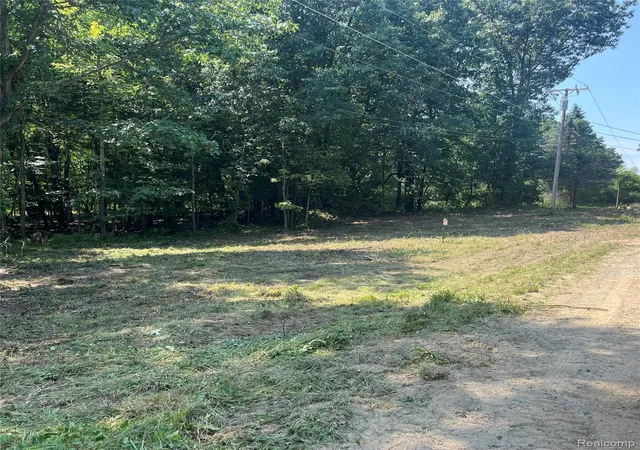 Land for sale at 1255 Houghton Trl, Ortonville, MI 48462 | MLS# 20261064112