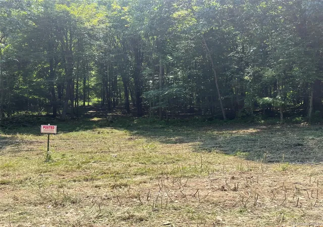 Photo 3 of Land for sale at 1255 Houghton Trl, Ortonville, MI 48462 | MLS# 20261064112 | Listing updated on 2026-08-14