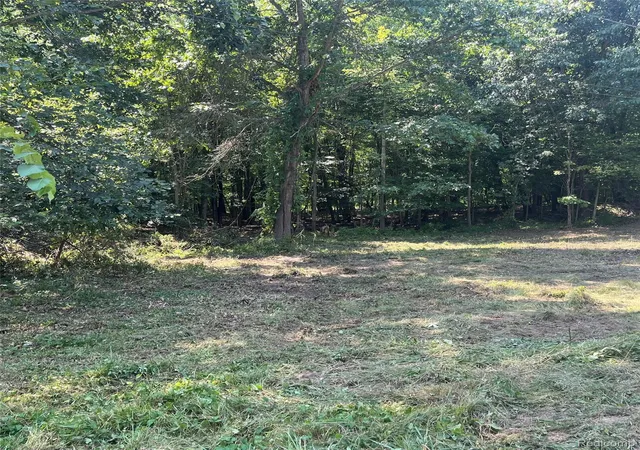 Photo 4 of Land for sale at 1255 Houghton Trl, Ortonville, MI 48462 | MLS# 20261064112 | Listing updated on 2026-08-14