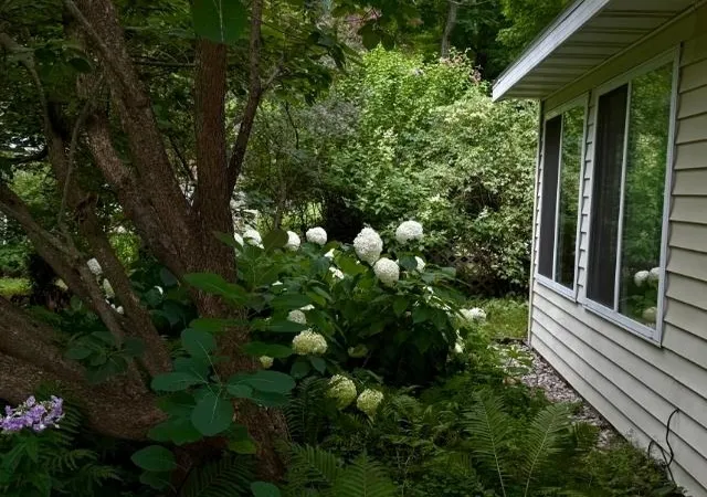 4th image of 4162 Chrystal St, Interlochen, MI 49643 | MLS# 78080072264