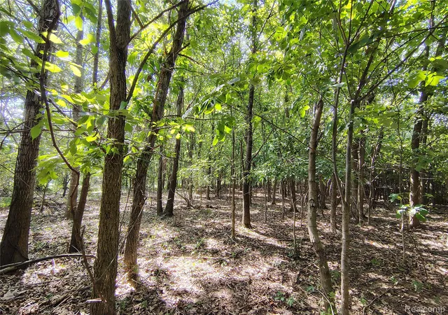 Photo 1 of Land for sale at Parcel D Brigham Rd, Hadley Township Lapeer, MI 48438 | MLS# 20261064139 | Listing updated on 2026-09-07