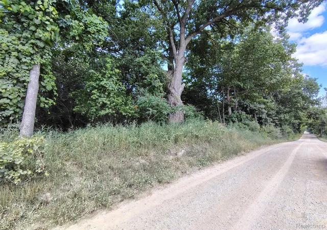 Photo 2 of Land for sale at Parcel D Brigham Rd, Hadley Township Lapeer, MI 48438 | MLS# 20261064139 | Listing updated on 2026-09-07