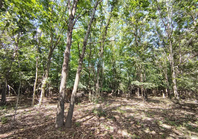 Photo 3 of Land for sale at Parcel D Brigham Rd, Hadley Township Lapeer, MI 48438 | MLS# 20261064139 | Listing updated on 2026-09-07
