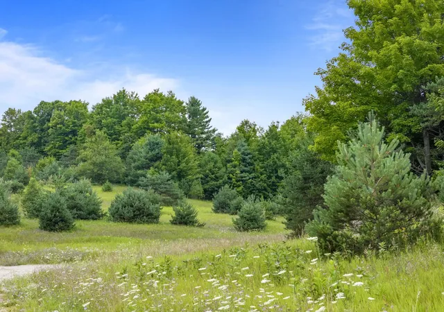 24th image of Parcel A E Lavassar Rd, Centerville Township Leelanau, MI 49653 | MLS# 78080072277