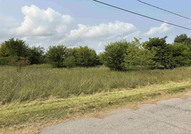 Photo 1 of Land for sale at 1370 Ogden St, Jasper, MI 49248 | MLS# 56050218409 | Listing updated on 2026-08-13