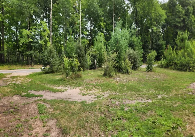 30th image of 2984 W Pierce Dr, Brohman, MI 49312 | MLS# 72026042544