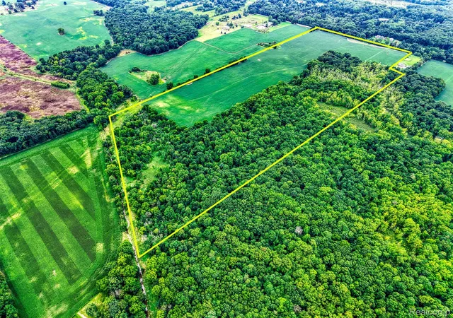 Photo 4 of Land for sale at 0 S Kane Rd, Webberville, MI 48892 | MLS# 20261064473 | Listing updated on 2026-08-14