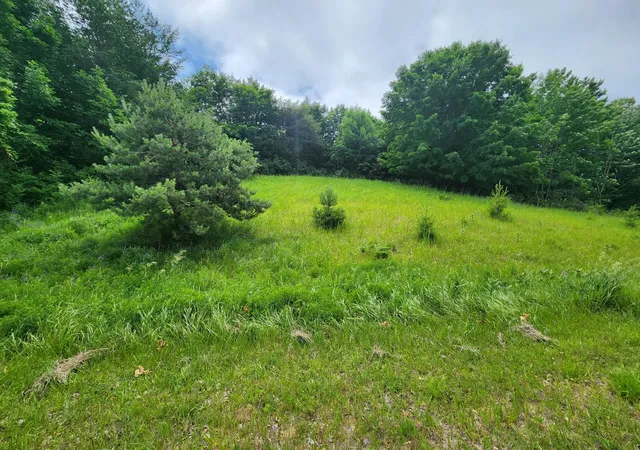 1st image of 000 Deer Ridge Trl, Beulah, MI 49617 | MLS# 78080072328