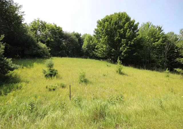 2nd image of 000 Deer Ridge Trl, Beulah, MI 49617 | MLS# 78080072328