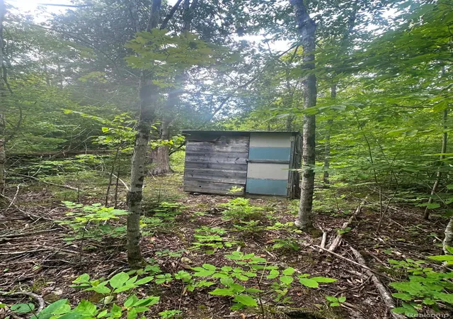 Photo 1 of Sale Pending at 0 Us Hwy 23, Presque Isle, MI 49777 | MLS# 20261064522 | Listing updated on 2026-08-15