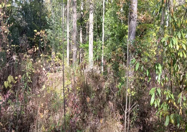 Photo 2 of Land for sale at Pine Crk Dr, Burton, MI 48519 | MLS# 56050218495 | Listing updated on 2026-08-14