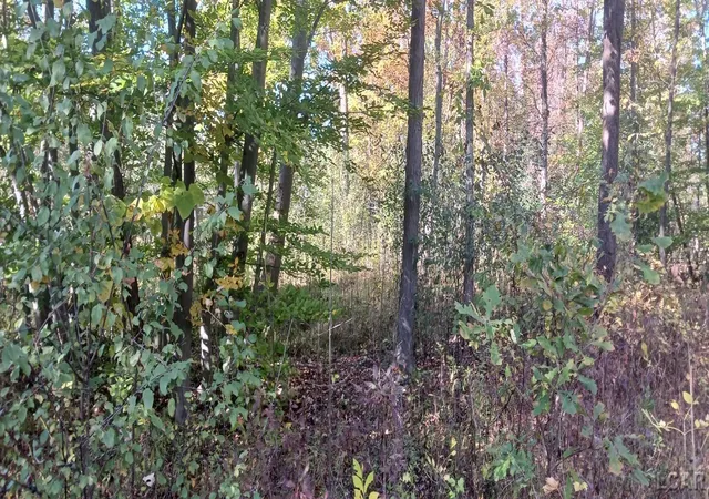Photo 3 of Land for sale at Pine Crk Dr, Burton, MI 48519 | MLS# 56050218495 | Listing updated on 2026-08-14