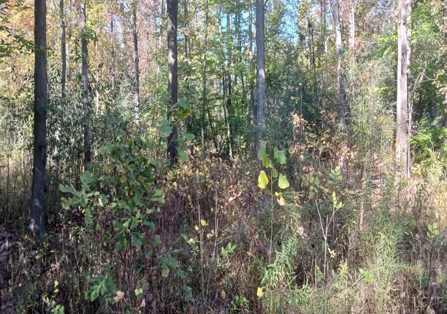 Photo 3 of Land for sale at Pine Crk Dr, Burton, MI 48519 | MLS# 56050218495 | Listing updated on 2026-08-14