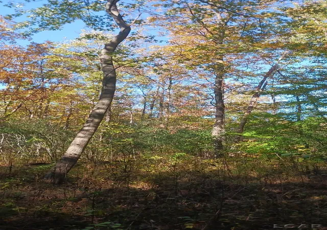 Photo 4 of Land for sale at Pine Crk Dr, Burton, MI 48519 | MLS# 56050218495 | Listing updated on 2026-08-14