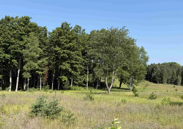 Photo 2 of Land for sale at Parcel S A 6 Bright Rd, Maple City, MI 49664 | MLS# 78080072352 | Listing updated on 2026-08-17