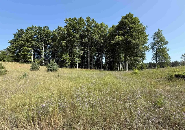 Photo 3 of Land for sale at Parcel S A 6 Bright Rd, Maple City, MI 49664 | MLS# 78080072352 | Listing updated on 2026-08-17