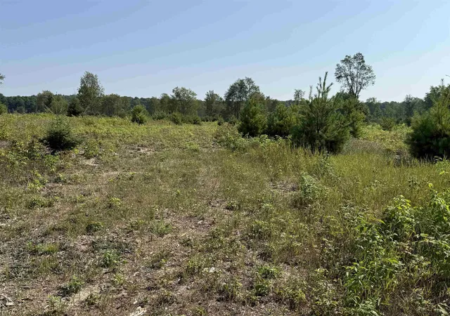 Photo 3 of Land for sale at Parcel S A 7 Bright Rd, Maple City, MI 49664 | MLS# 78080072354 | Listing updated on 2026-08-17