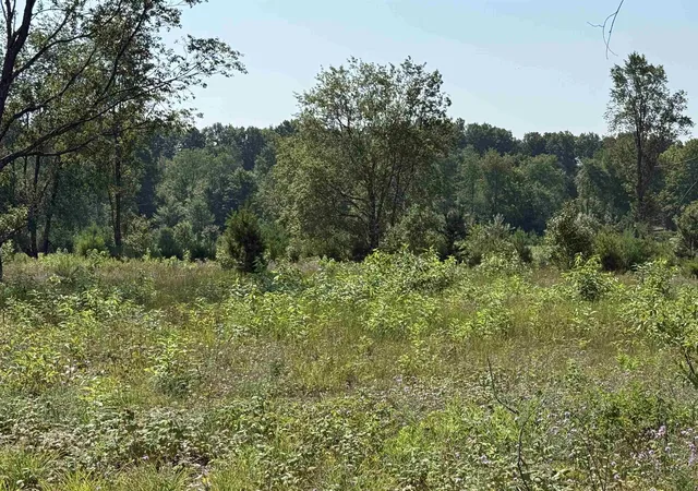 Photo 2 of Land for sale at Parcel S A 8 Bright Rd, Maple City, MI 49664 | MLS# 78080072355 | Listing updated on 2026-08-17