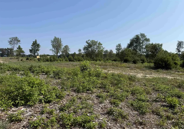 Photo 4 of Land for sale at Parcel S A 8 Bright Rd, Maple City, MI 49664 | MLS# 78080072355 | Listing updated on 2026-08-17