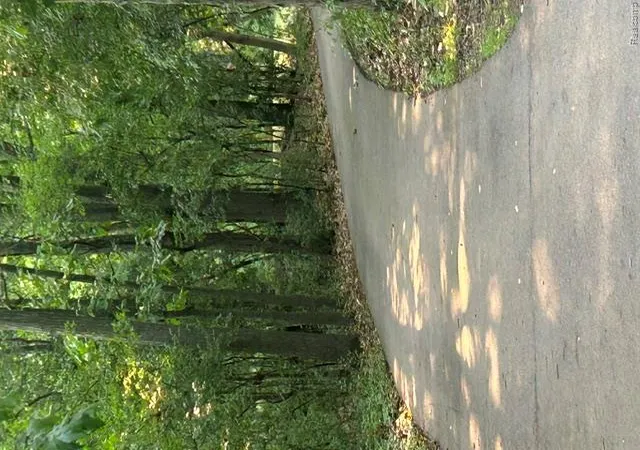 4th image of 1510 Milford Hills Dr, Milford, MI 48381 | MLS# 20261064678