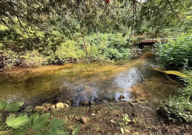 4th image of 4513 W Mena Creek, White Cloud, MI 49349 | MLS# 72026042851