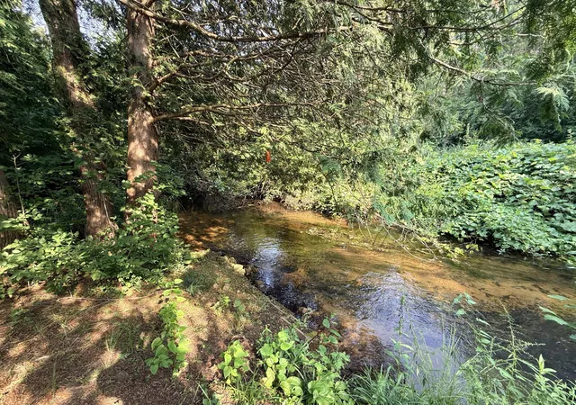 5th image of 4513 W Mena Creek, White Cloud, MI 49349 | MLS# 72026042851