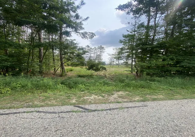 Photo 1 of Land for sale at 413 Maplebrooke Ln, Cadillac, MI 49601 | MLS# 78080072385 | Listing updated on 2026-09-04