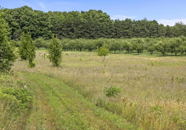 5th image of 12540 S Benzonia Trl, Empire, MI 49630 | MLS# 78080072387
