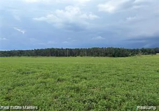 Photo 3 of Land for sale at 300 E Hubert Rd, Spruce, MI 48762 | MLS# 20261064865 | Listing updated on 2026-08-14