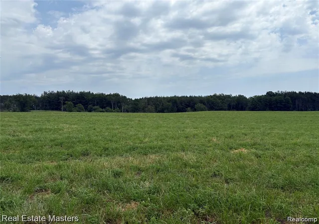 Photo 4 of Land for sale at 300 E Hubert Rd, Spruce, MI 48762 | MLS# 20261064865 | Listing updated on 2026-08-14