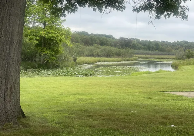 4th image of 4635 S Jackson Rd, Jackson, MI 49201 | MLS# 55026042947